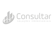 Consultar Solucoes Empresariais S/S